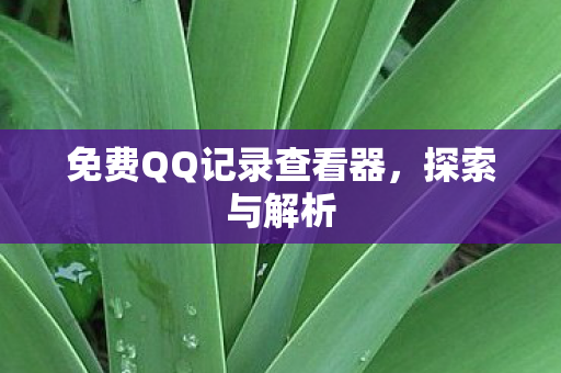 免费QQ记录查看器图片