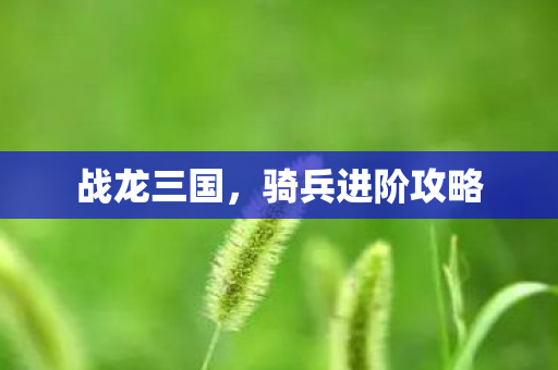 骑兵进阶攻略图片