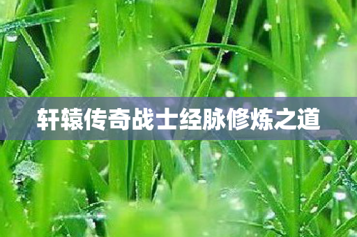 轩辕传奇战士经脉修炼之道图片