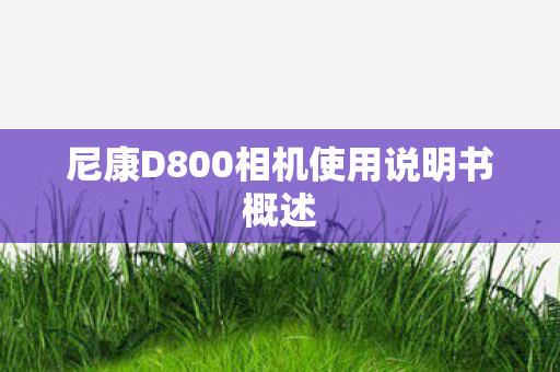尼康D800相机使用说明书概述图片