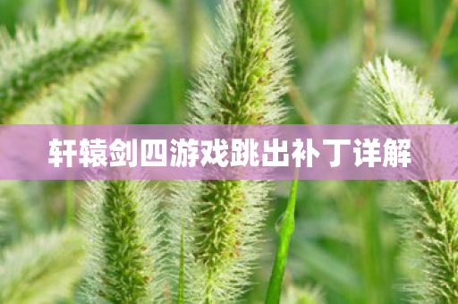 轩辕剑四游戏跳出补丁详解图片