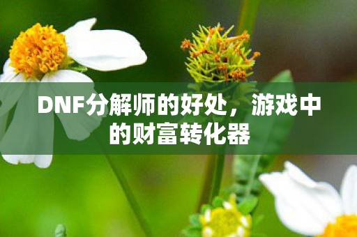 DNF分解师的好处图片