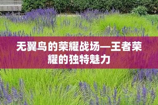 王者荣耀的独特魅力图片