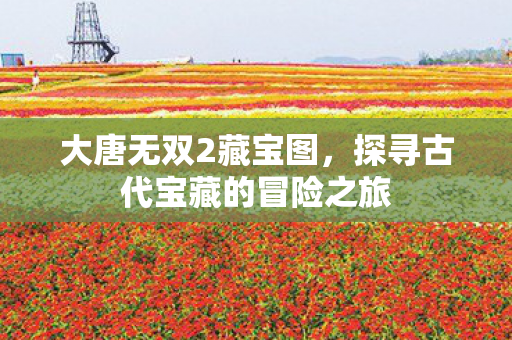 探寻古代宝藏的冒险之旅图片