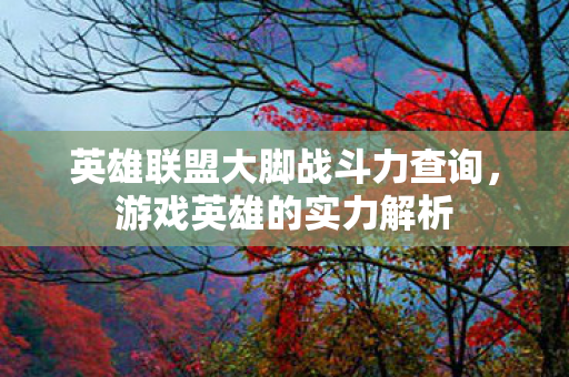 英雄联盟大脚战斗力查询图片