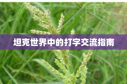 坦克世界中的打字交流指南图片