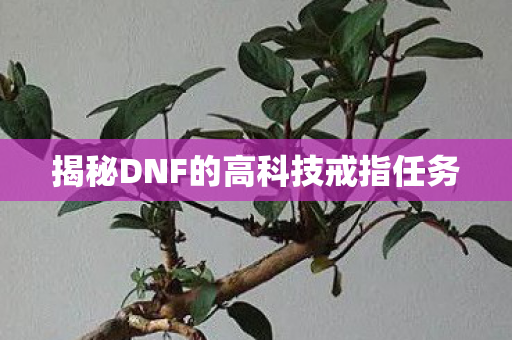 揭秘DNF的高科技戒指任务图片