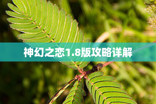 8版攻略详解图片