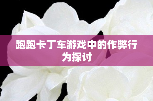 跑跑卡丁车游戏中的作弊行为探讨图片