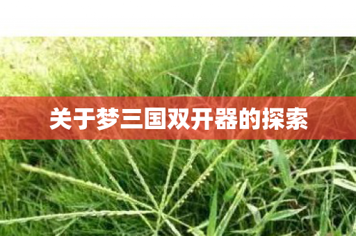 关于梦三国双开器的探索图片