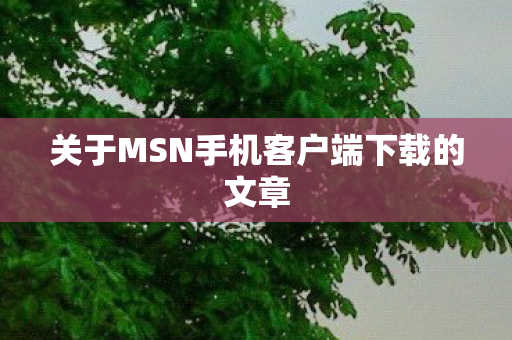 关于MSN手机客户端下载的文章图片