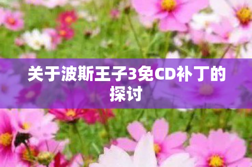 关于波斯王子3免CD补丁的探讨图片