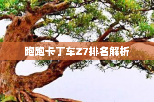 跑跑卡丁车Z7排名解析图片