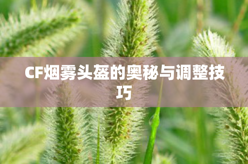 CF烟雾头盔的奥秘与调整技巧图片