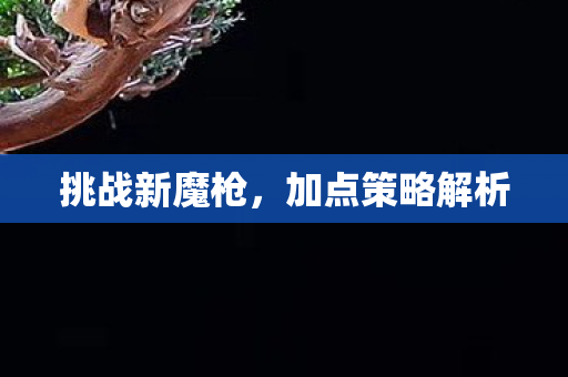 加点策略解析图片