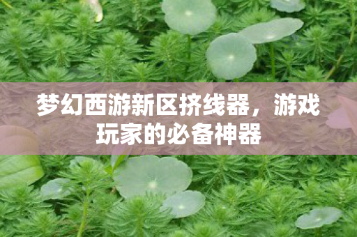 梦幻西游新区挤线器图片