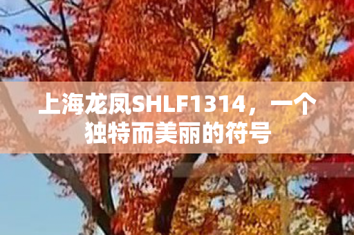 上海龙凤SHLF1314图片