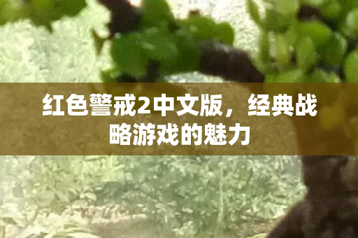 经典战略游戏的魅力图片