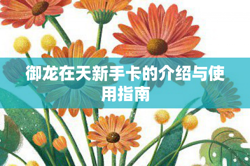 御龙在天新手卡的介绍与使用指南图片