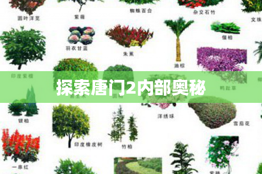 探索唐门2内部奥秘图片