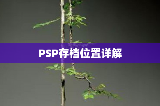 PSP存档位置详解图片
