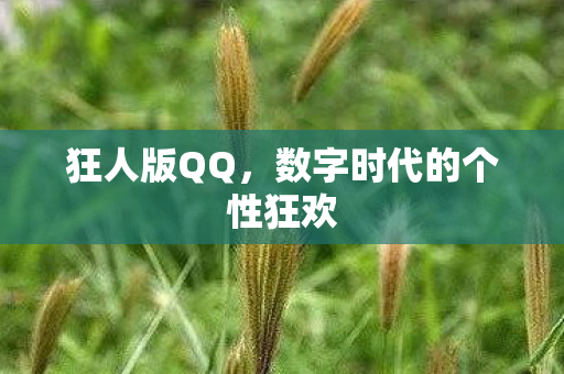 数字时代的个性狂欢图片