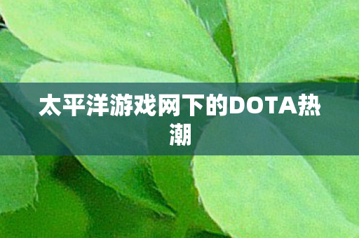 太平洋游戏网下的DOTA热潮图片