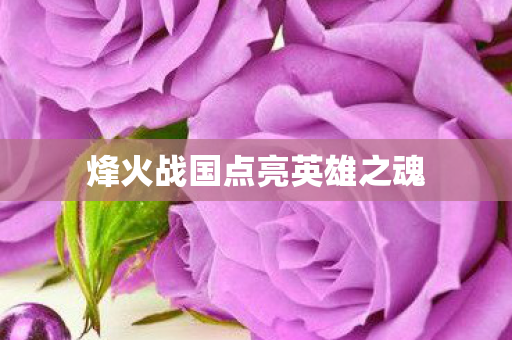 烽火战国点亮英雄之魂图片