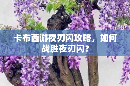 卡布西游夜刃闪攻略图片