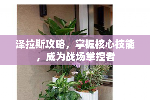 成为战场掌控者图片