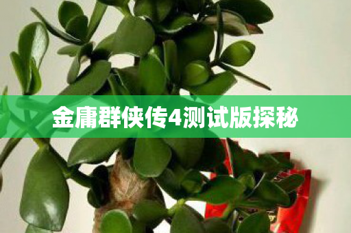 金庸群侠传4测试版探秘图片