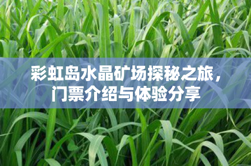 彩虹岛水晶矿场探秘之旅图片