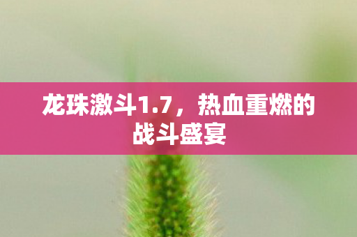 热血重燃的战斗盛宴图片