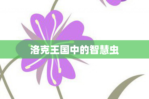 洛克王国中的智慧虫图片