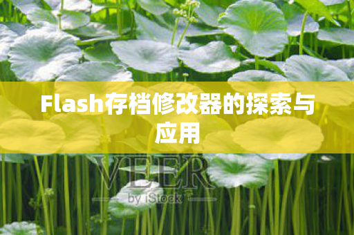 Flash存档修改器的探索与应用图片