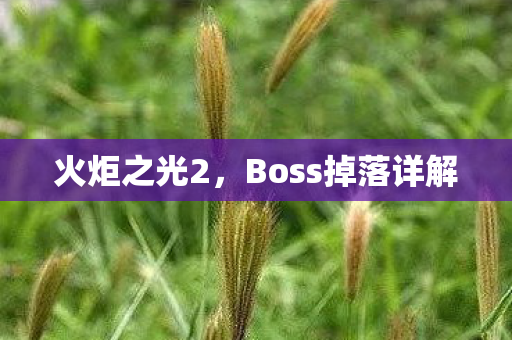 Boss掉落详解图片