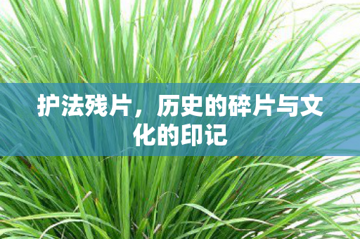 历史的碎片与文化的印记图片