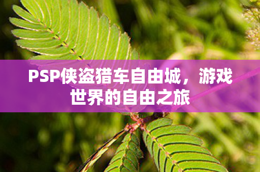 PSP侠盗猎车自由城图片