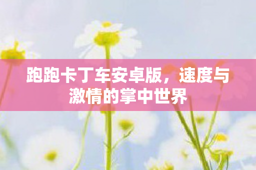 速度与激情的掌中世界图片