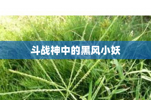 斗战神中的黑风小妖图片