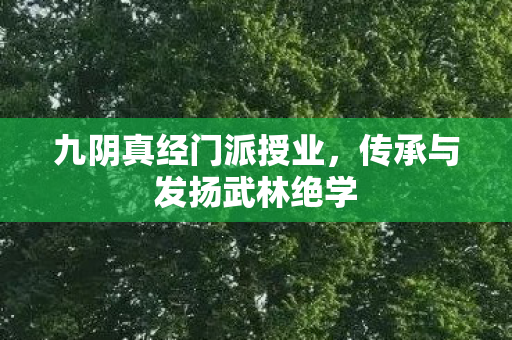 传承与发扬武林绝学图片