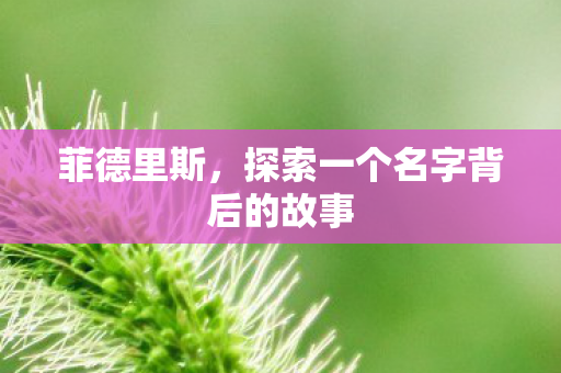 探索一个名字背后的故事图片