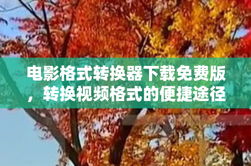 电影格式转换器下载免费版图片
