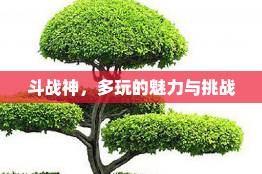 多玩的魅力与挑战图片