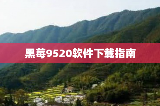 黑莓9520软件下载指南图片