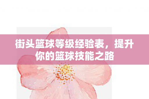 提升你的篮球技能之路图片