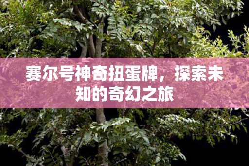 探索未知的奇幻之旅图片