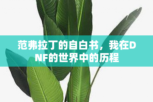 我在DNF的世界中的历程图片