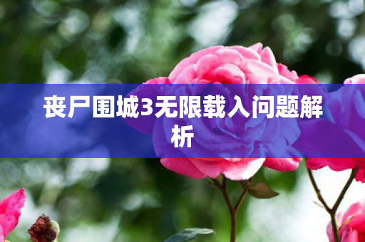 丧尸围城3无限载入问题解析图片