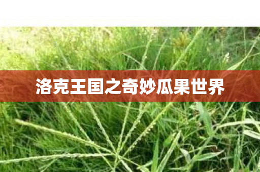 洛克王国之奇妙瓜果世界图片
